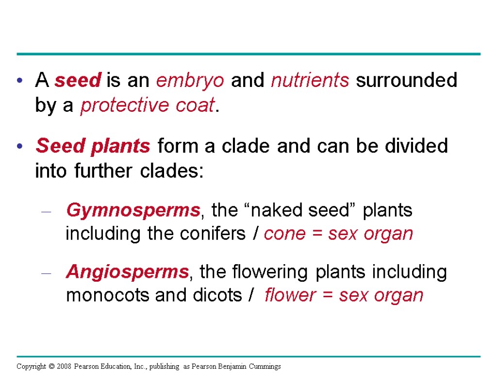 A seed is an embryo and nutrients surrounded by a protective coat. Seed plants